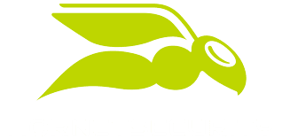 Hornet Security